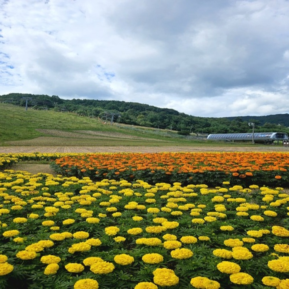 activity_detail_image