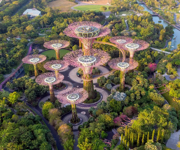 activity_detail_image