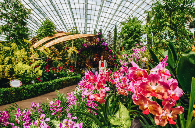 싱가포르 가든스바이더베이 클라우드 포레스트 + 플라워돔 입장권 - 쥬라기 월드: 더 익스피리언스