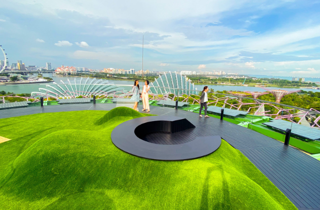 싱가포르 가든스바이더베이 슈퍼트리 전망대 + 클라우드 포레스트 + 플라워돔 입장권