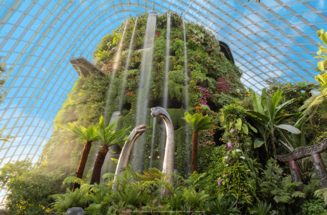 activity_detail_image