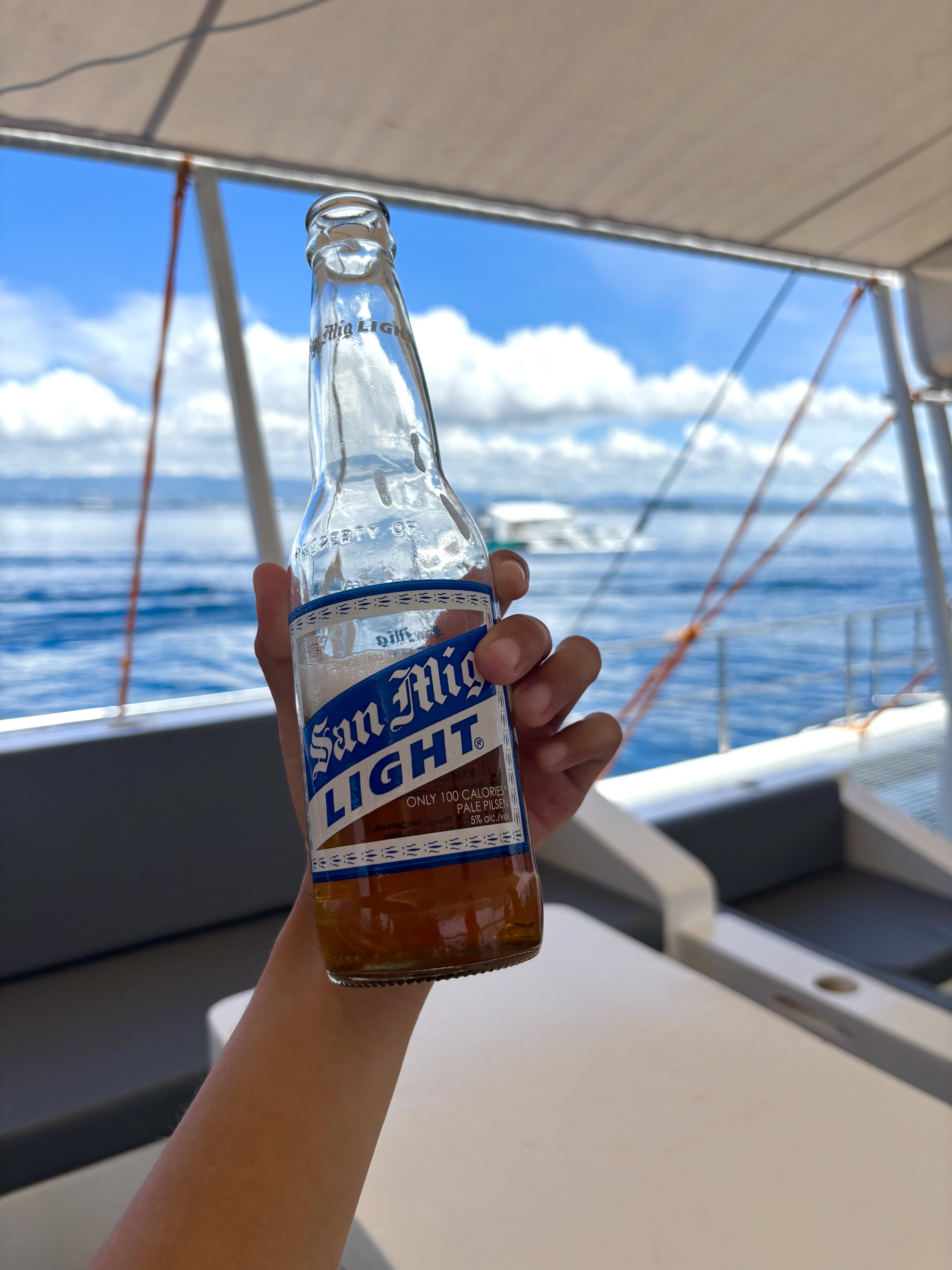 세부 디프리호핑 올데이 호핑투어 (프리미엄 방카 & 무제한 맥주 & BBQ & 디제잉 공연)