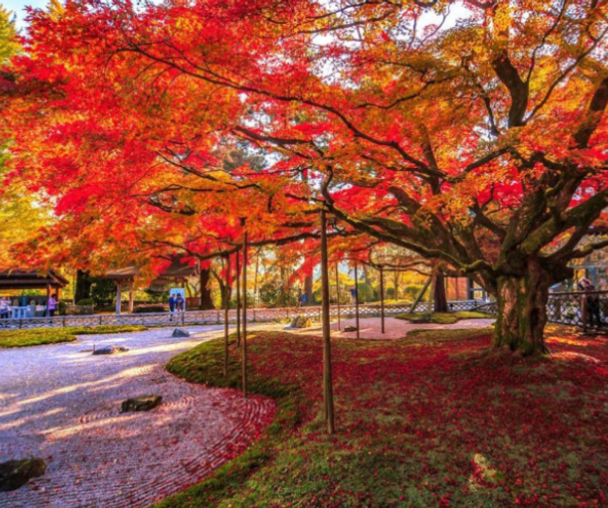 activity_detail_image