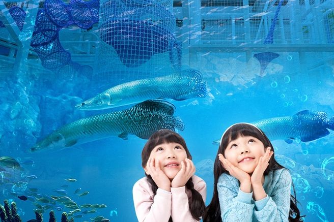 서울 가산 아쿠아밸리 입장권