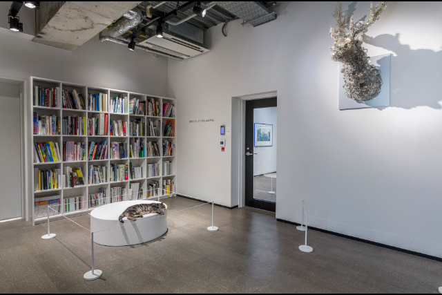 activity_detail_image