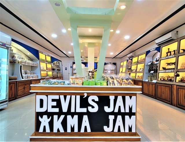 보라카이 칼리보 공항 왕복 단독 픽업 & 샌딩 (라운지 포함, 마사지 선택 가능)