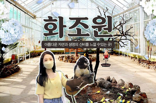 제주 화조원 입장권