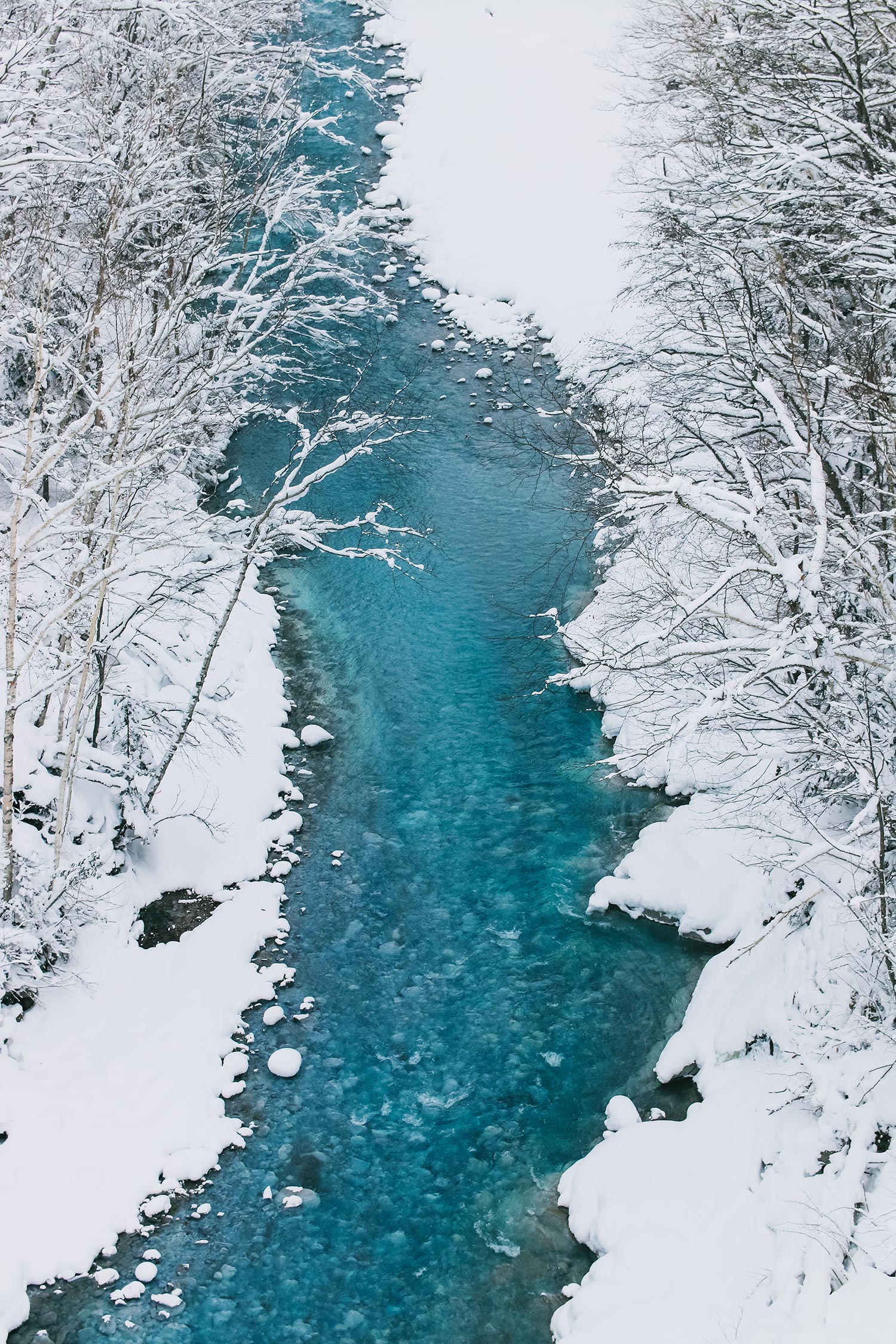 [여행한그릇] 삿포로 출발: 비에이 버스투어 그리고 라이카 무료 사진 촬영