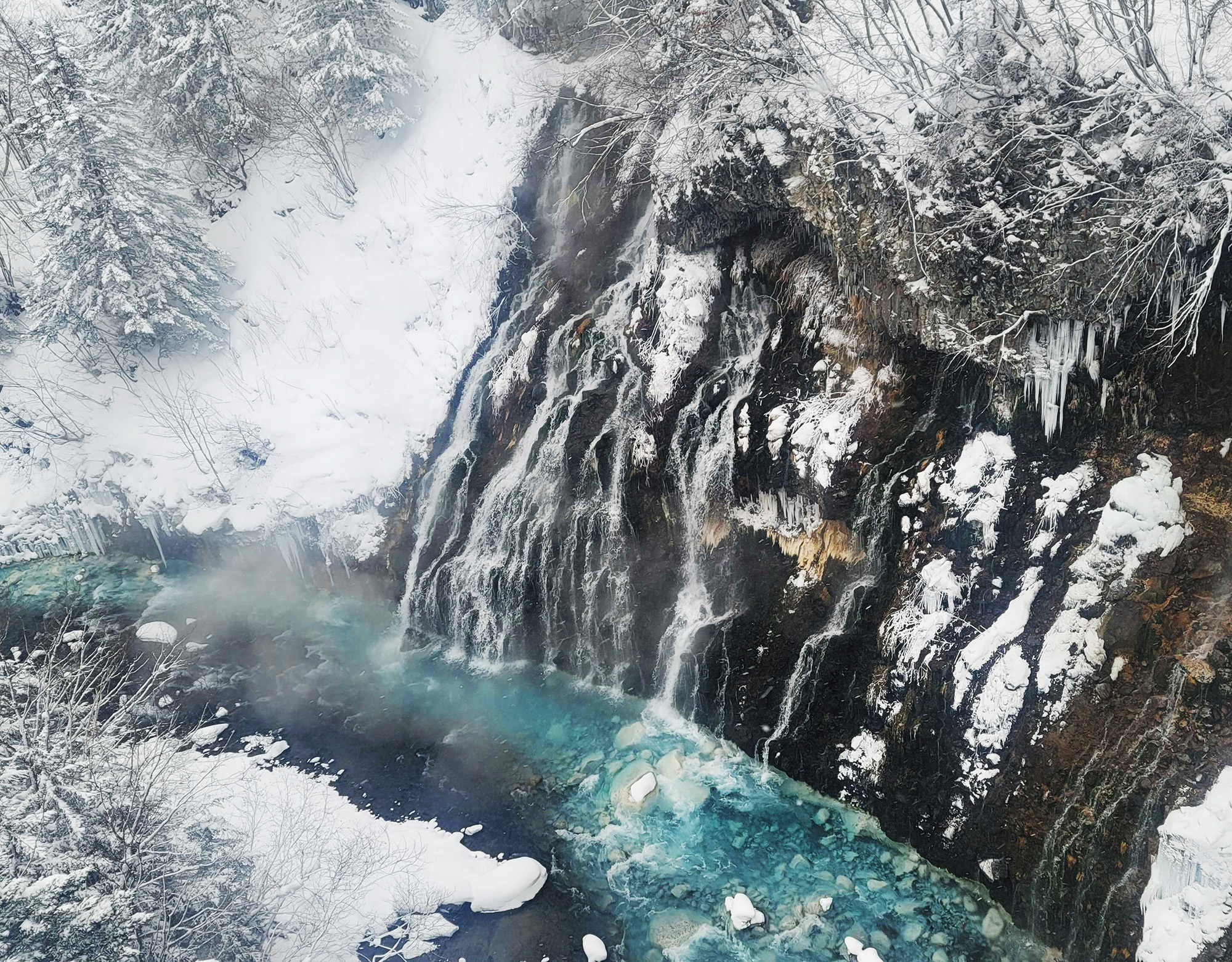 activity_detail_image
