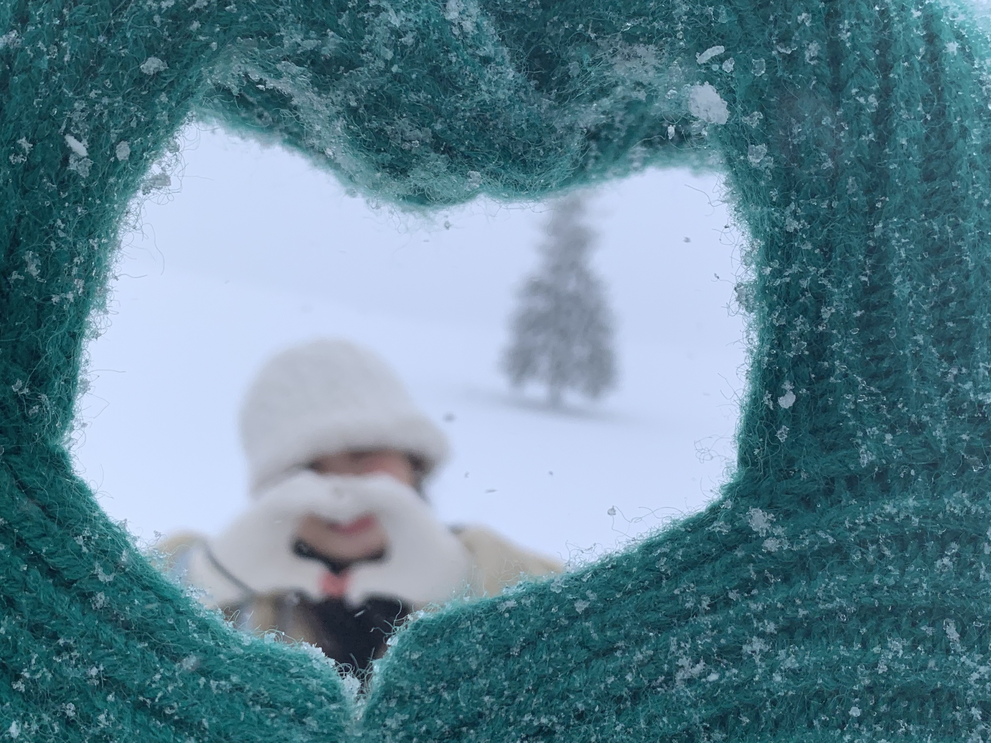 [라쿠투어] [준페이식사] 북해도 삿포로 비에이 후라노 버스투어 (매일 출발)