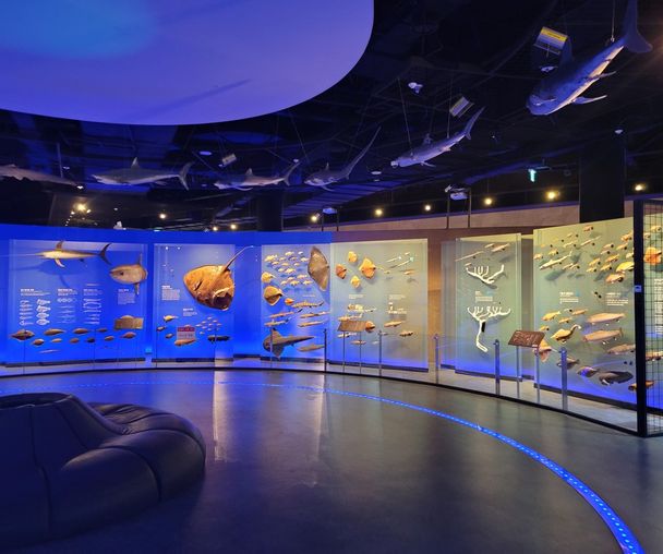 activity_detail_image