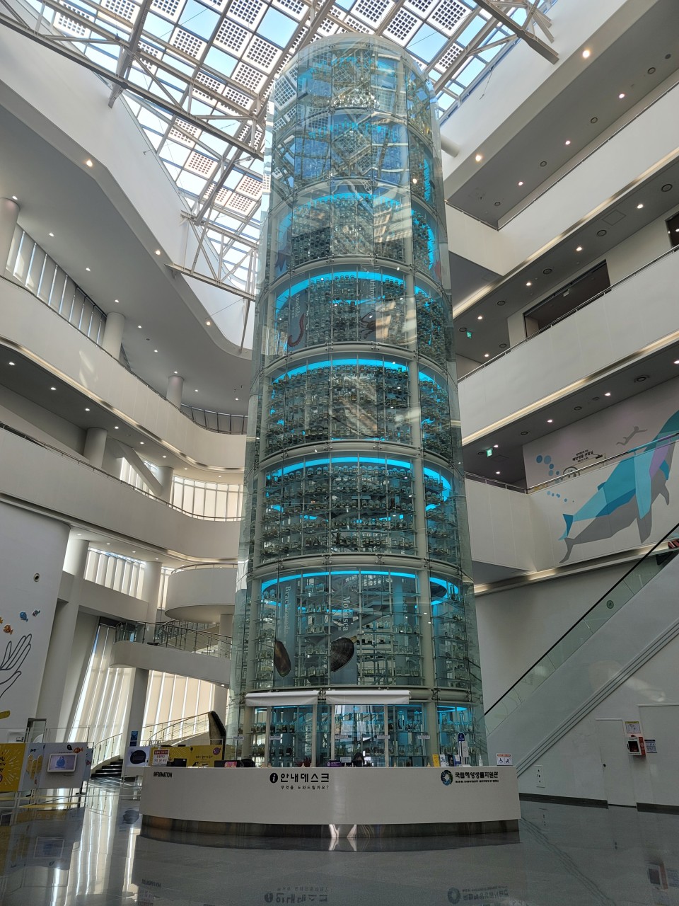activity_detail_image