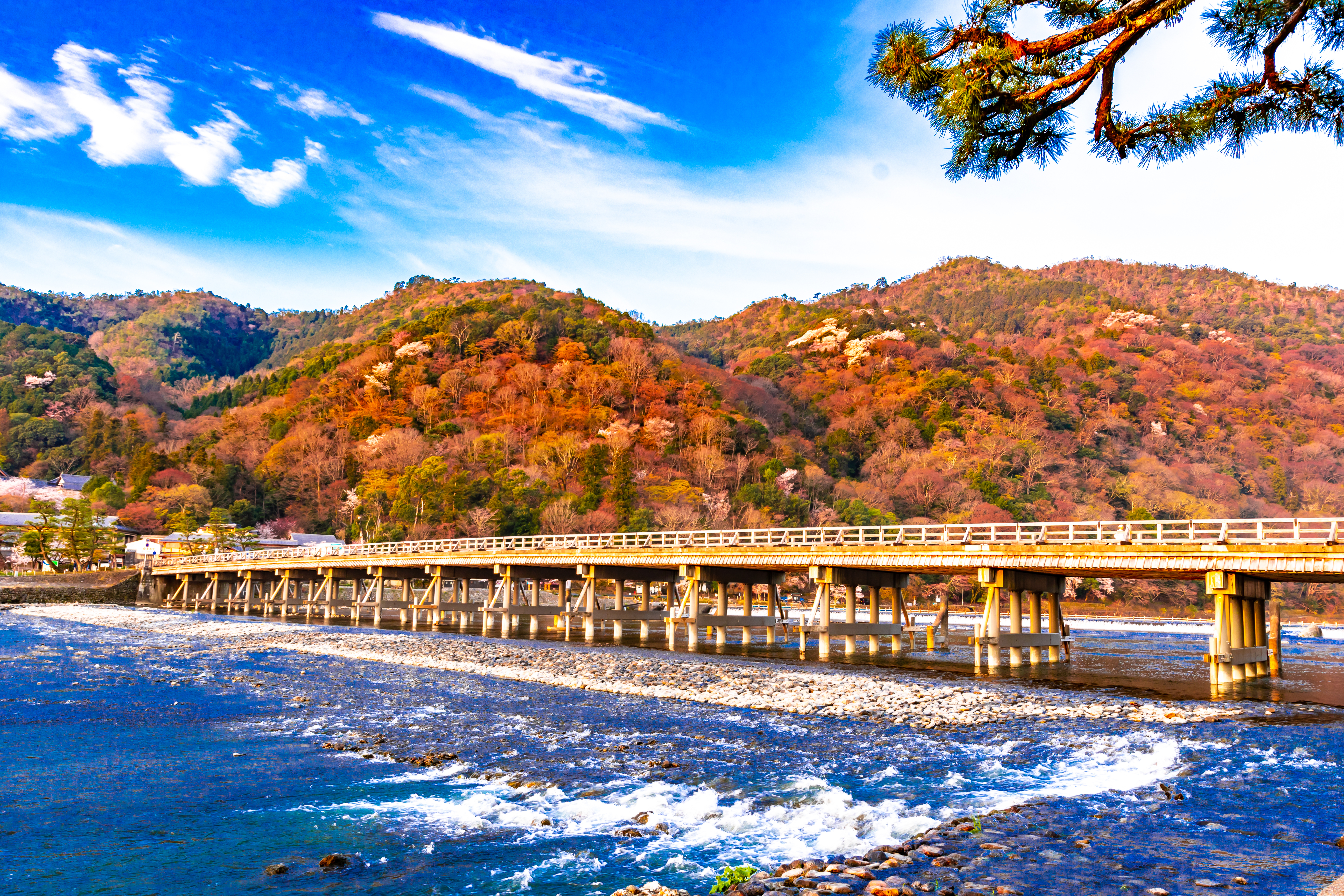 activity_detail_image