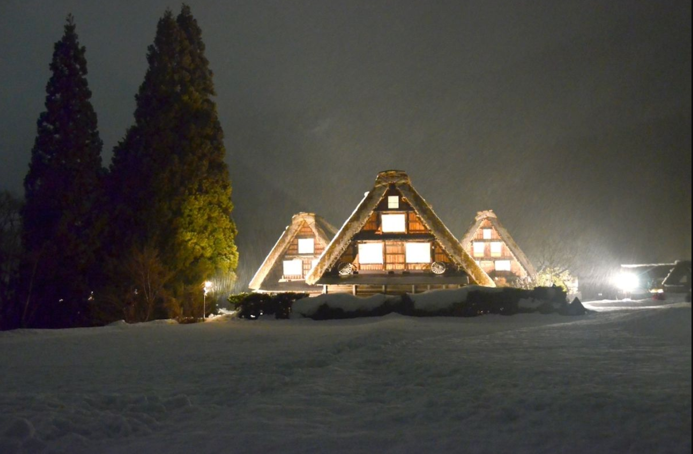 Gifu: Shirakawa-go - Takayama Nohi Bus Ticket