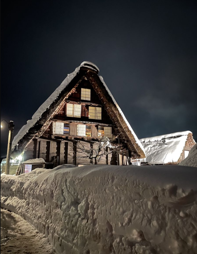 Gifu: Shirakawa-go - Takayama Nohi Bus Ticket