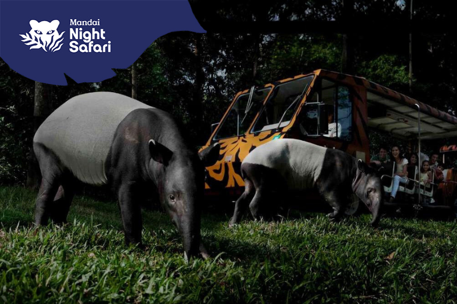 Singapore Night Safari Ticket with Tram Ride