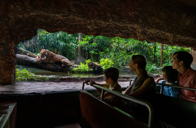 Singapore River Wonders Ticket - Mandai Wildlife Reserve