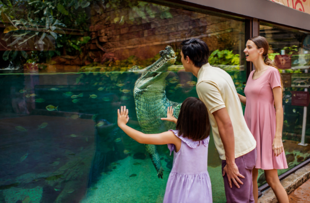 싱가포르 리버 원더스 입장권 + 아마존 리버 퀘스트