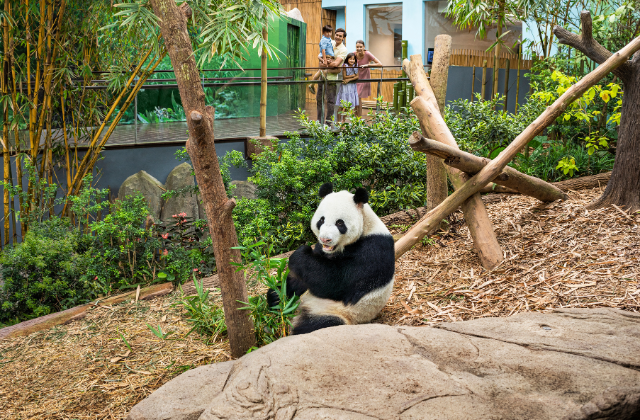 싱가포르 리버 원더스 입장권 + 아마존 리버 퀘스트