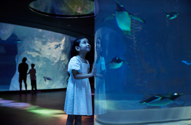 [1+1] 싱가포르 버드 파라다이스 입장권 - 만다이 야생동물 보호구역