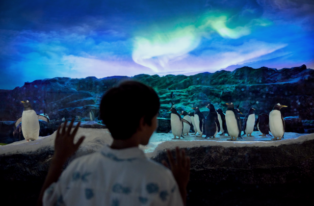 activity_detail_image