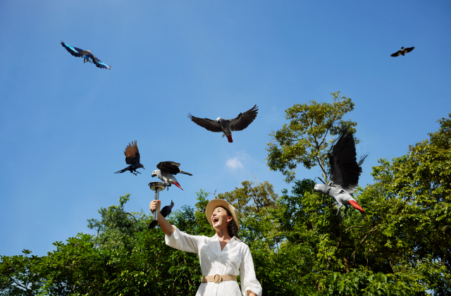 activity_detail_image