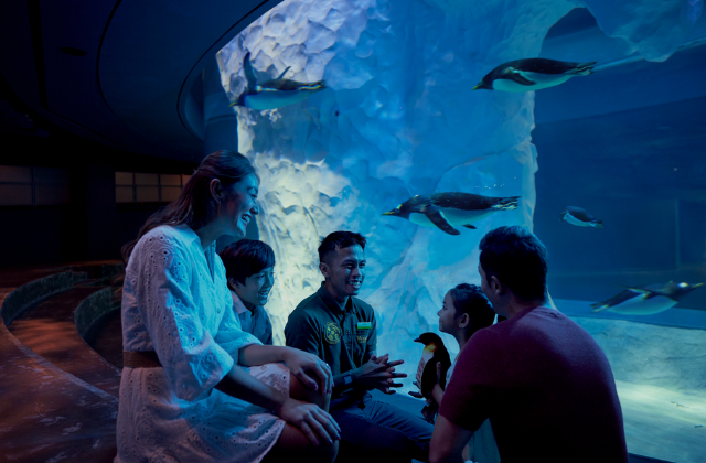 activity_detail_image