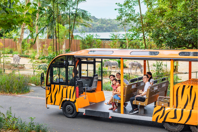 Singapore Zoo Ticket with Tram Ride