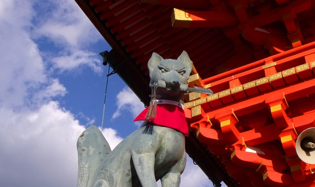 activity_detail_image