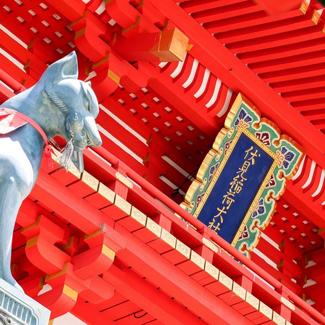 activity_detail_image