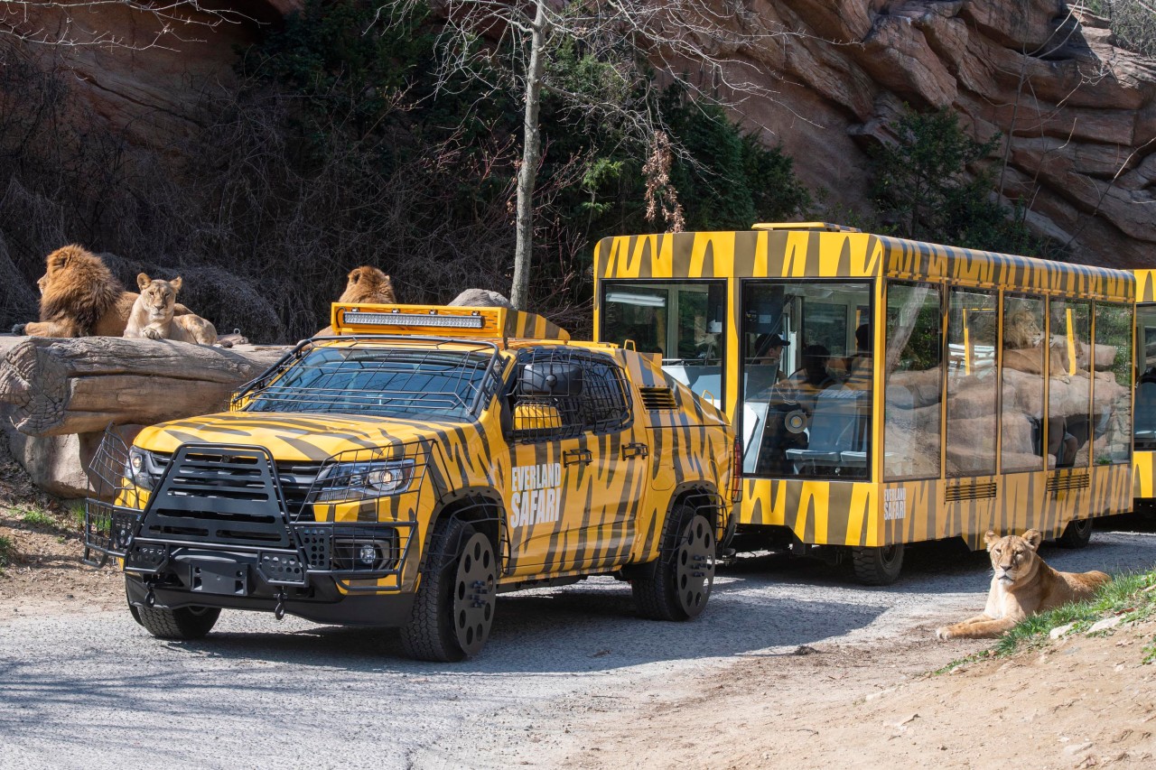 activity_detail_image