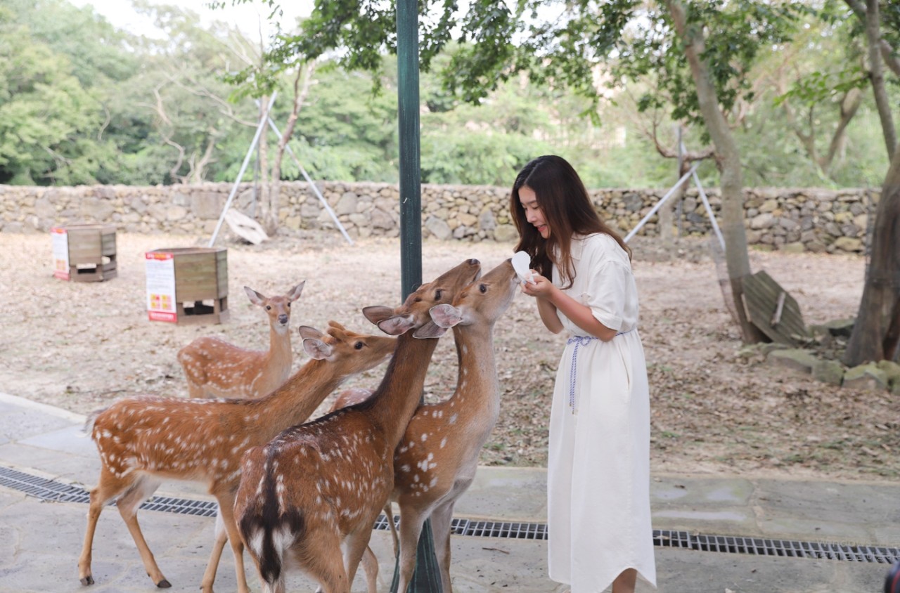 activity_detail_image