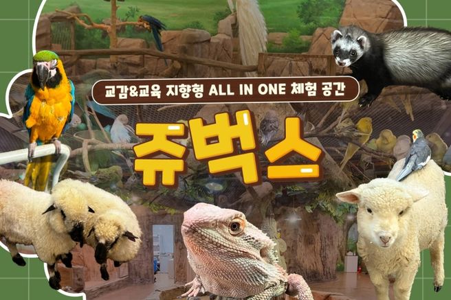 인천 실내 동물원 쥬벅스 입장권