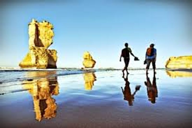 [마이웨이트래블] 멜버른 오션워크 트레킹과 함께하는 그레이트 오션로드 일일 투어 (픽업 & 샌딩)