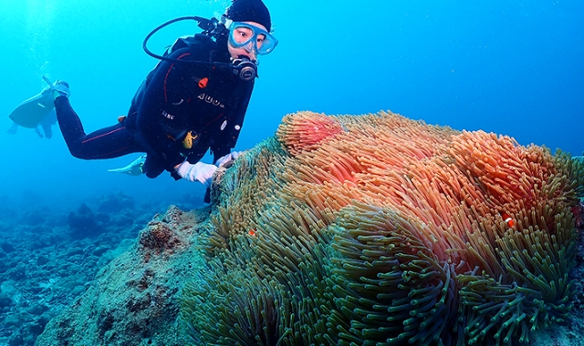 activity_detail_image