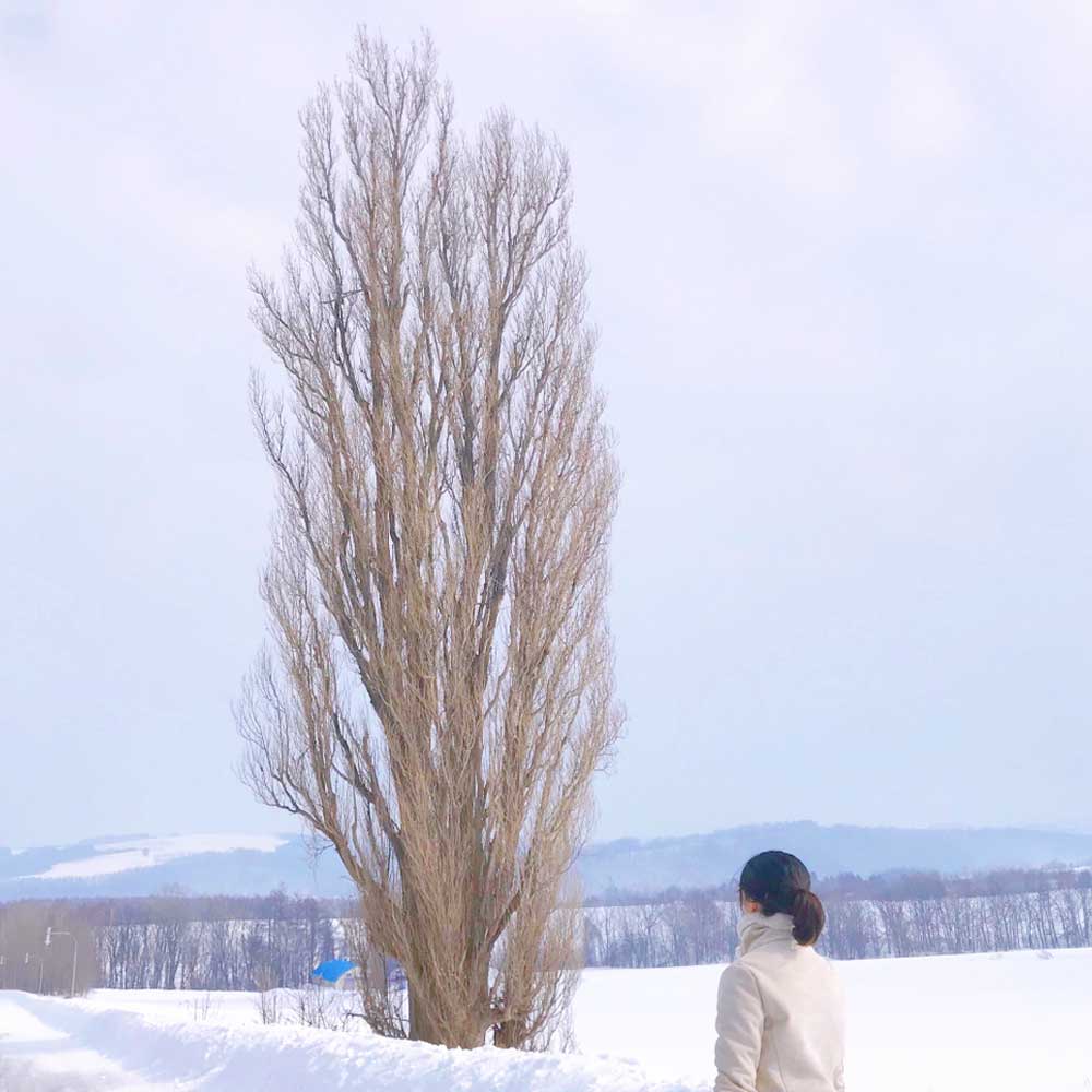 activity_detail_image