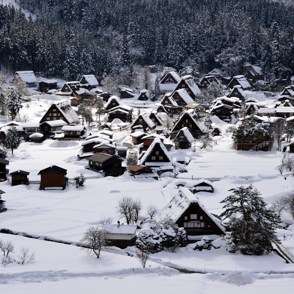 [유투어버스] 나고야 히다 다카야마 세계문화유산 시라카와고 일일 투어