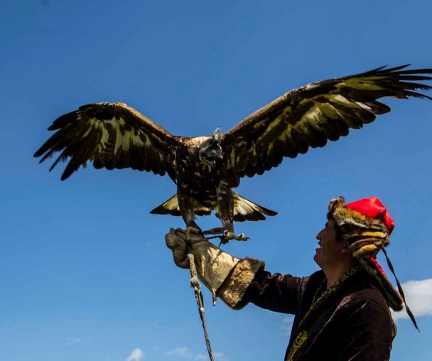 activity_detail_image