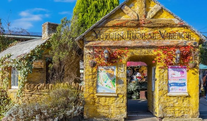 activity_detail_image