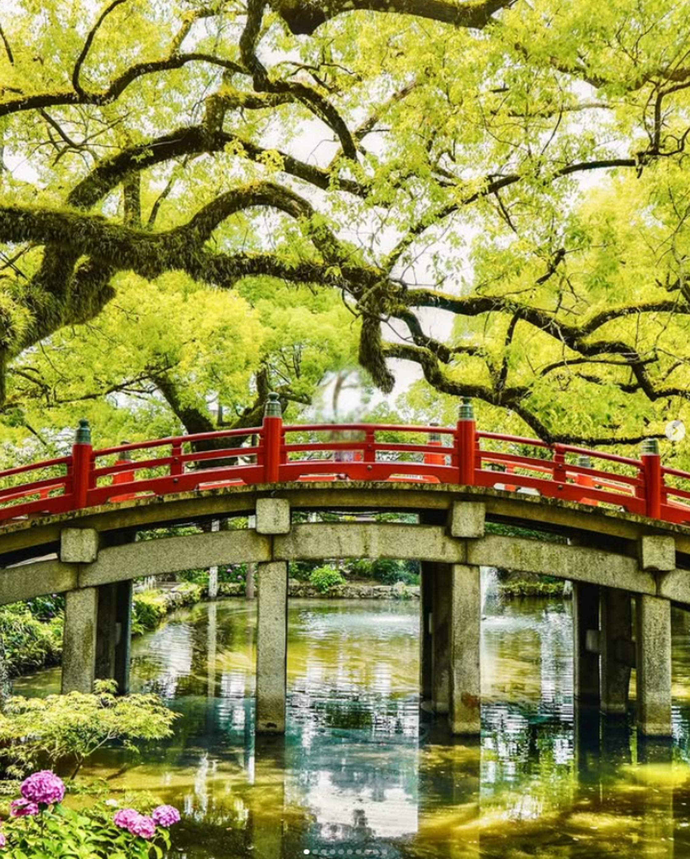 activity_detail_image