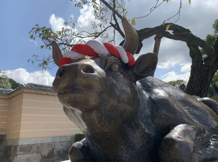 activity_detail_image