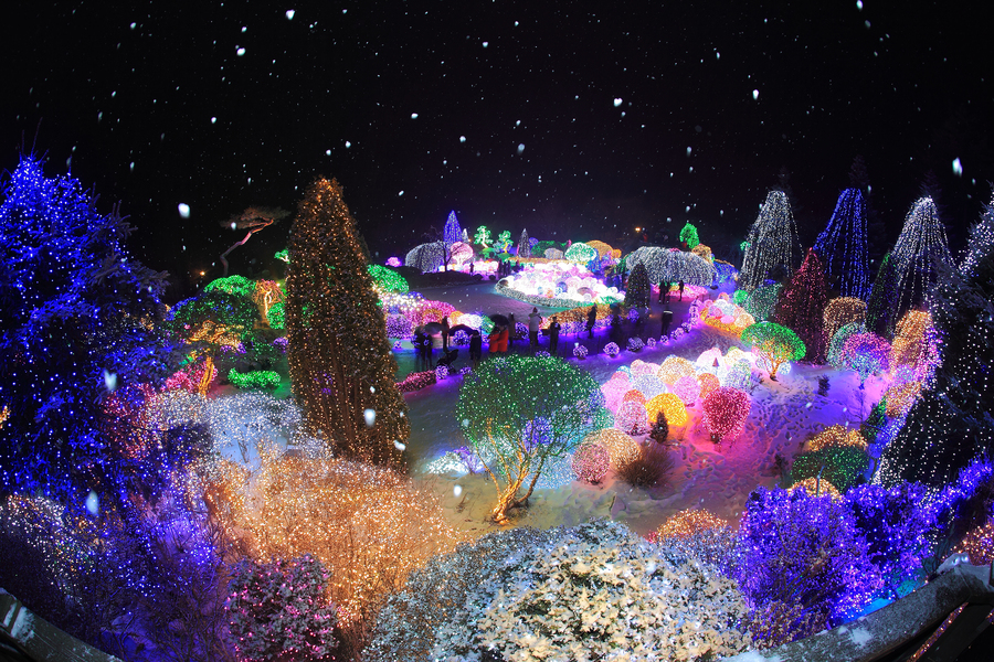 activity_detail_image