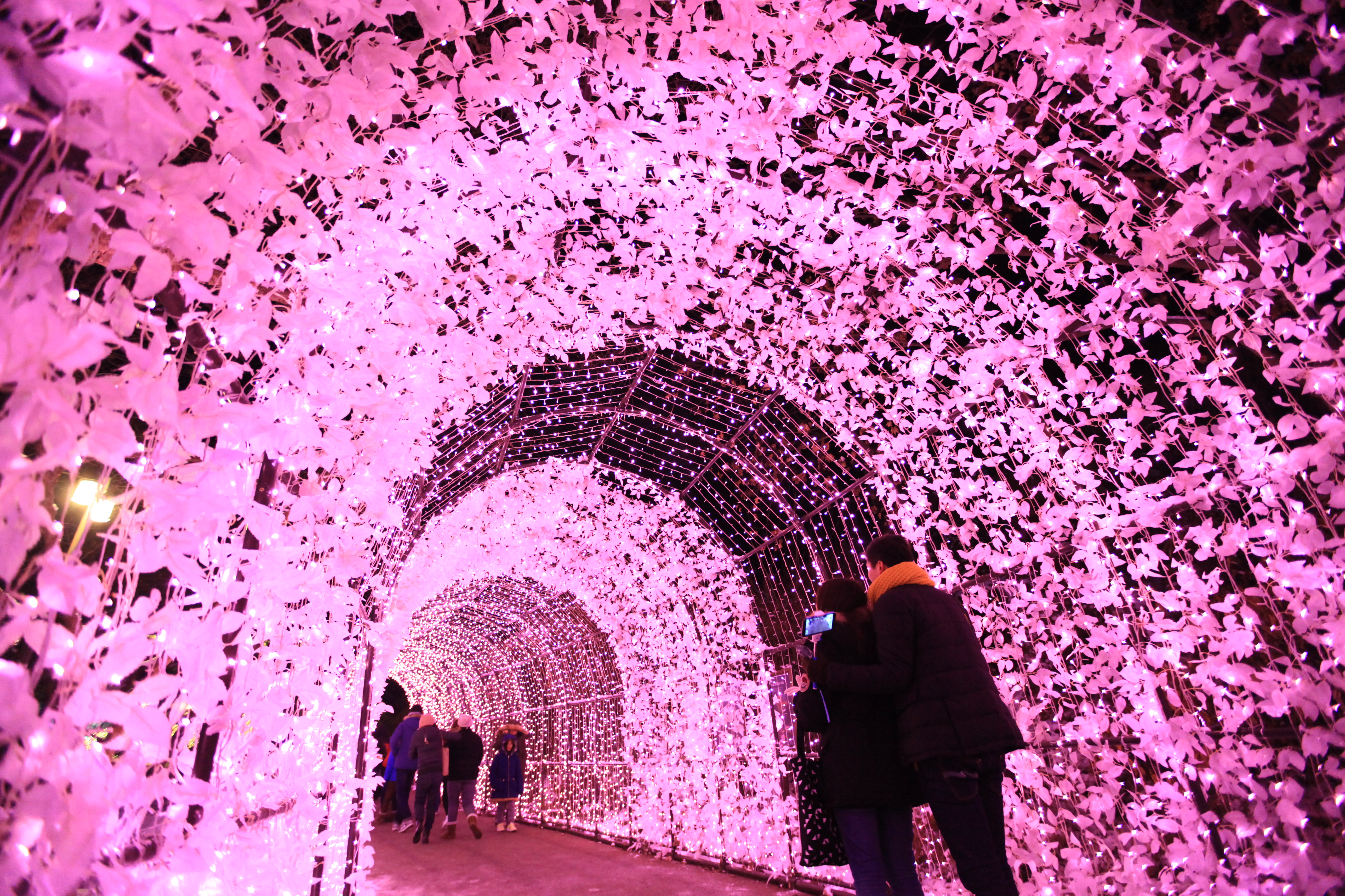 activity_detail_image