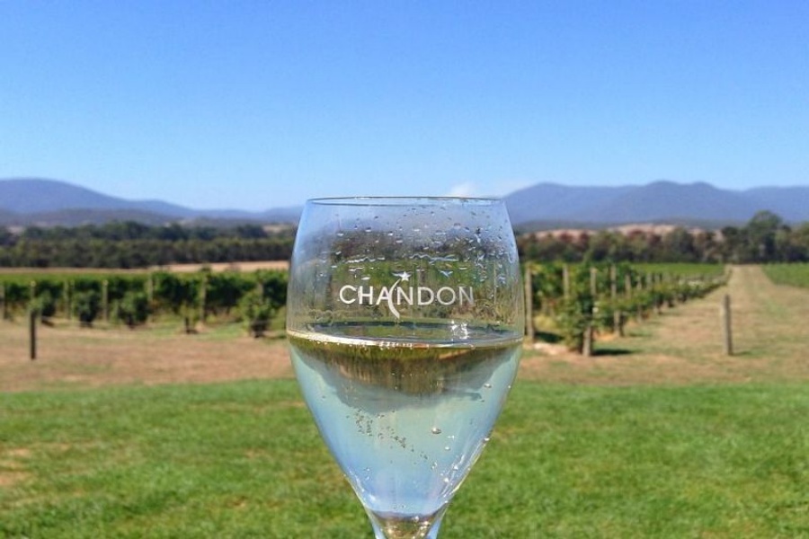 [마이웨이트래블] 멜버른 VIP 야라 밸리 와이너리 당일치기 단독 투어 (픽업 & 샌딩)