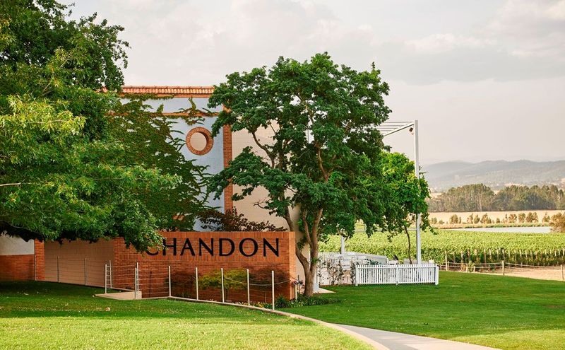 [마이웨이트래블] 멜버른 VIP 야라 밸리 와이너리 당일치기 단독 투어 (픽업 & 샌딩)