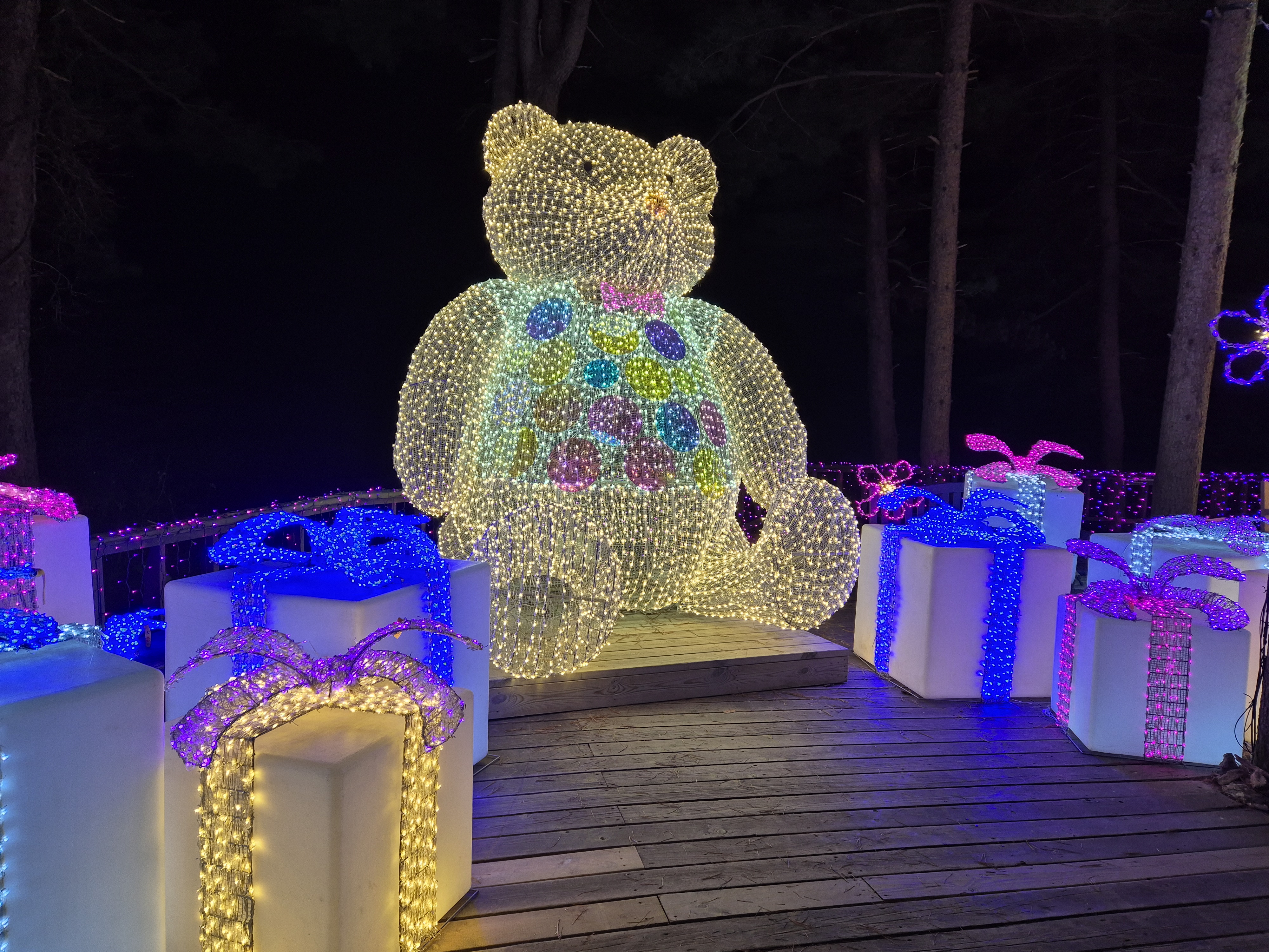 activity_detail_image