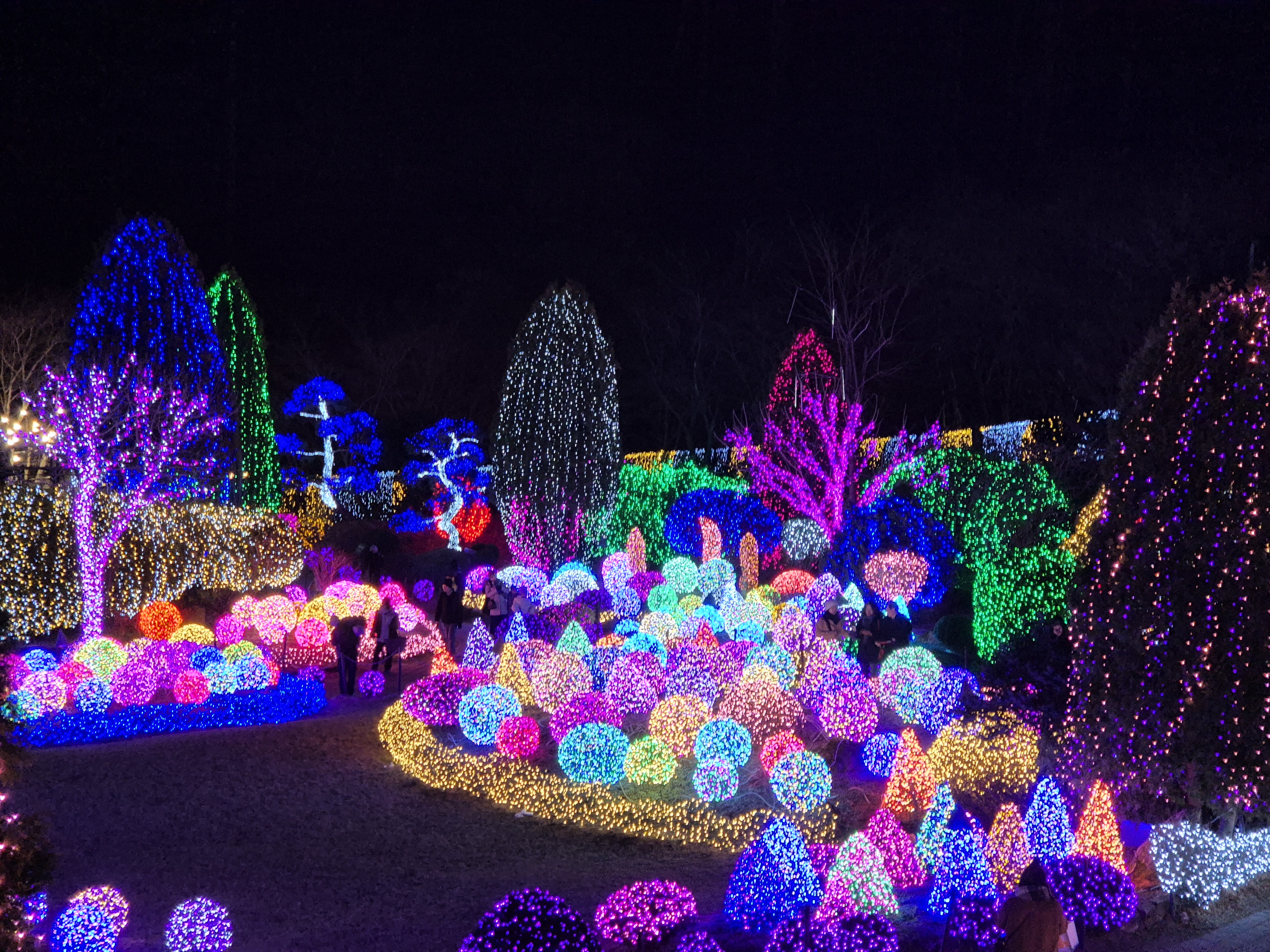 activity_detail_image