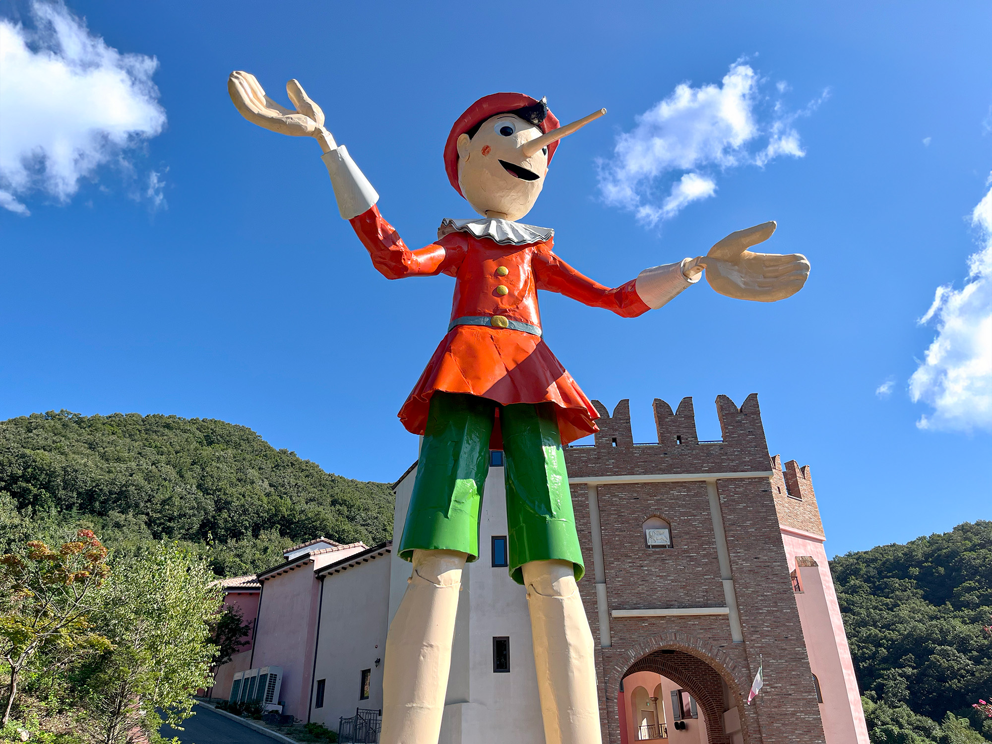 activity_detail_image