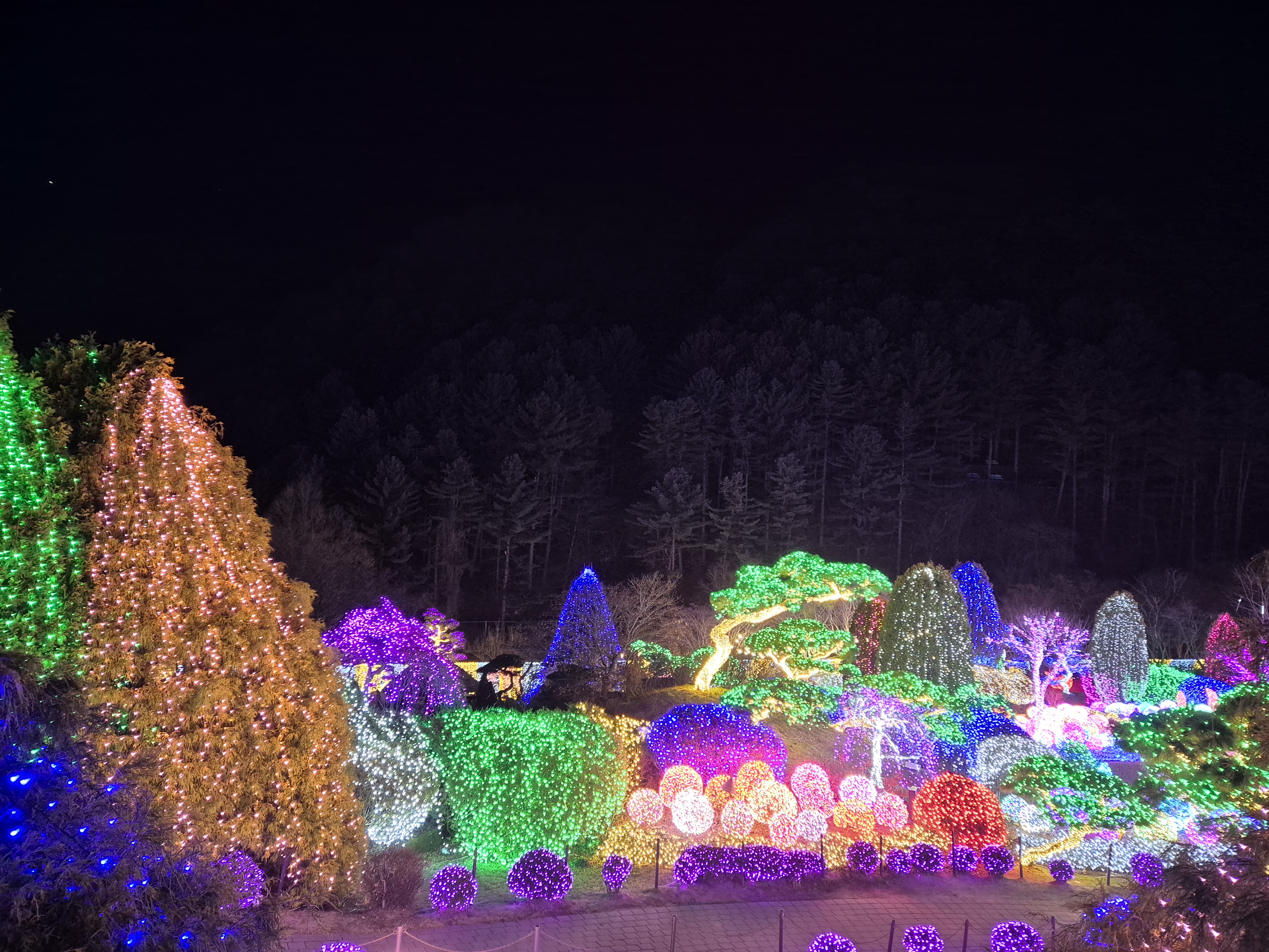 activity_detail_image