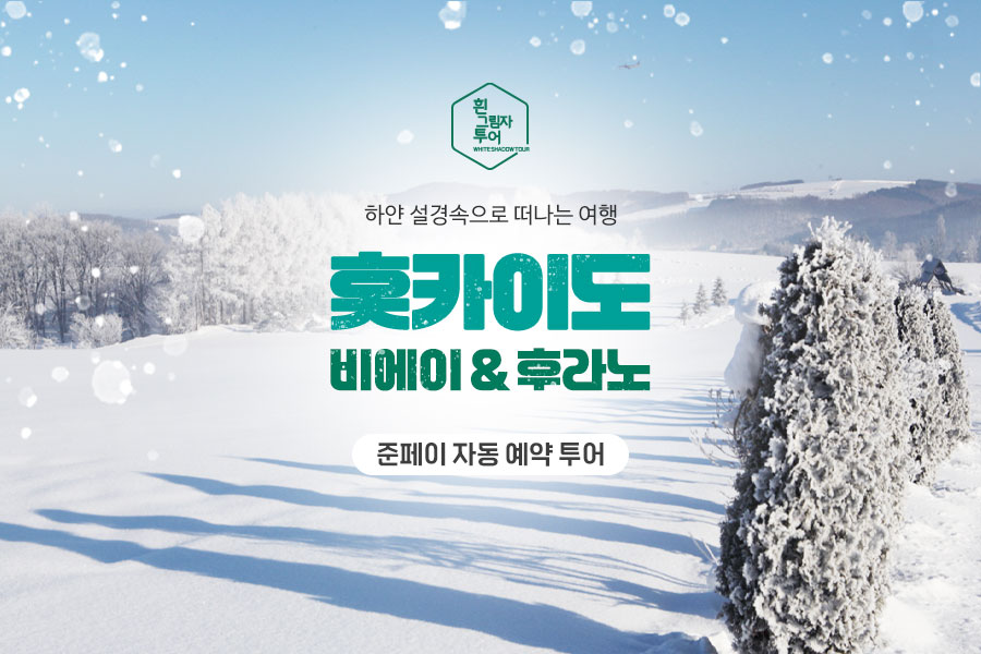 [흰그림자투어] 홋카이도 비에이 & 후라노 버스 투어 - 쥰페이 자동 예약